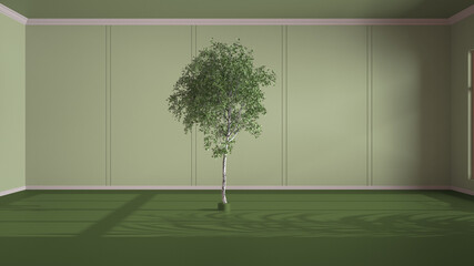 Imaginary fictional architecture, interior design of hall, classic empty room, open space, green walls with trim molding in the background and birch tree in the middle of the room