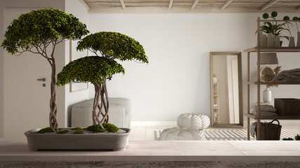 Vintage wooden table shelf with pebble and potted bloom bonsai, green flowers, over modern room with sofa, cxarpet, pouf, modern interior design, zen clean architecture concept idea