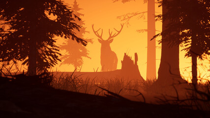 Deer in the light of the rising sun in a misty forest.