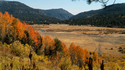 autumn landscape in the mountains