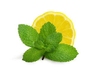 a twig of fresh aromatic mint and juicy lemon on a white background