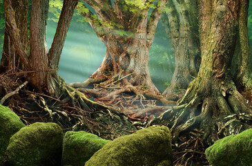 Fantasy forest landscape with sunrays, old trees and mossy rocks