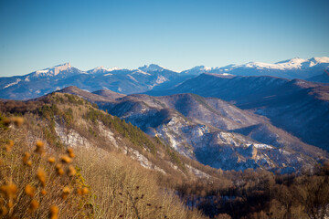 Fototapeta premium Beautiful mountain landscape with forest at Caucasus mountains