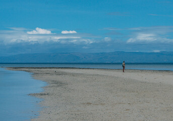 Fototapeta na wymiar a person standing on a beach