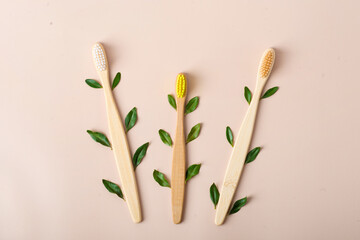 Eco-friendly bamboo tooth brush. Zero waste