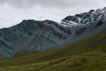 gray rocks, green forest and snow-capped mountains on the background-Altai