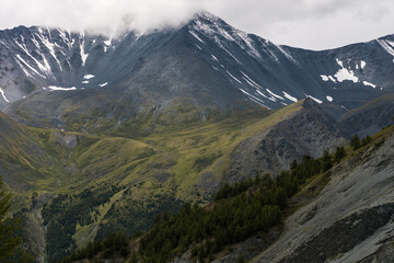 Fototapeta premium gray rocks, green forest and snow-capped mountains on the background-Altai