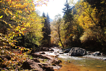 The river Tedzami in autumn