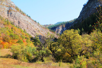 autumn in the mountains