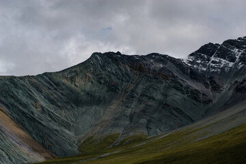 gray rocks, green forest and snow-capped mountains on the background-Altai