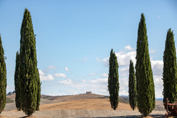 Val d'Orcia