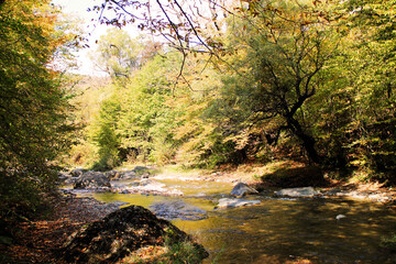 Obraz premium The river Tedzami in autumn