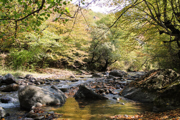 The river Tedzami in autumn