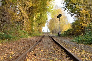 Railroad tracks with trees on both sides in autumn