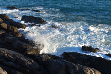 Genova Lungomare Sturla Quinto