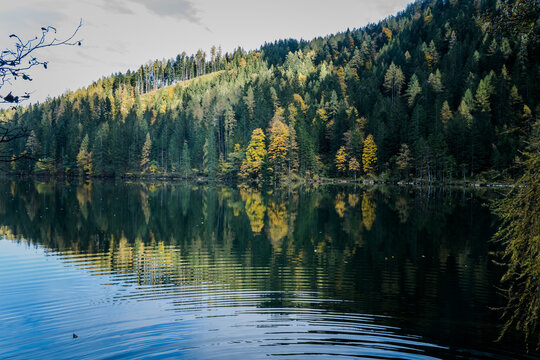 Gleinkersee Gleinkersee bilder – Bläddra bland 175 stockfoton, vektorer och videor ...