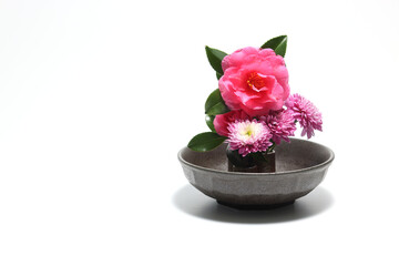 和風に活けた山茶花と菊の花