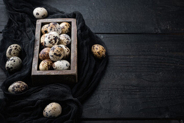 Organic quail eggs, on black wooden background  with space for text