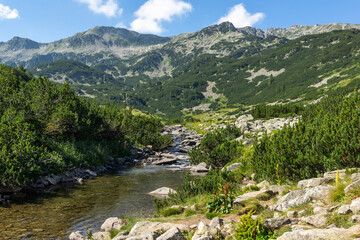 Fototapeta na wymiar Banderitsa River at Pirin Mountain, Bulgaria
