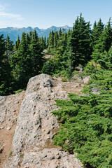 Obraz premium View from the summit of Mt. Becher, Strathcona Provincial Park, British Columbia