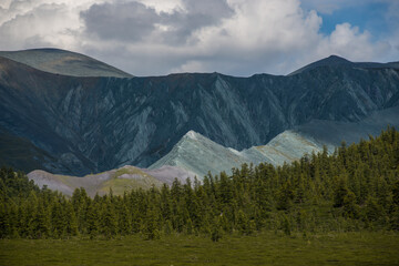 gray rocks, green forest and snow-capped mountains on the background-Altai