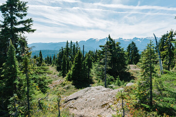 View from the summit of Mt. Becher, Strathcona Provincial Park, British Columbia