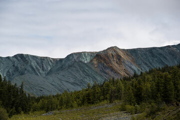gray rocks, green forest and snow-capped mountains on the background-Altai