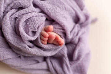 feet of a newborn baby. feet on a purple background. baby feet