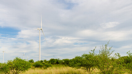 wind turbine on a green field