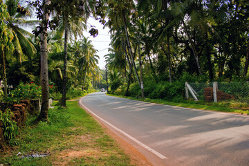 Goa, India: A road turning in a middle of Forest of palm tree. Exotic location in Goa against clear...