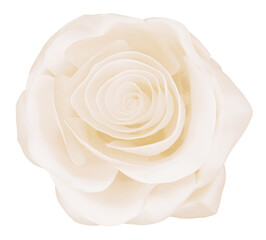 elegant white pastel rose isolated on white, 3d render