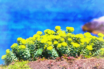 Arctic flowers close up tundra view colorful painting