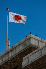 flag of japan and birds