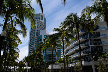 Fototapeta premium Miami Beach, Florida, USA - May, 2020: Skyscraper at Miami Beach. Street in Miami with palms.