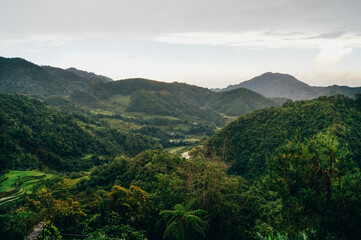 a green valley with trees