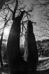 Fototapety na wymiar - Fototapeta24.pl