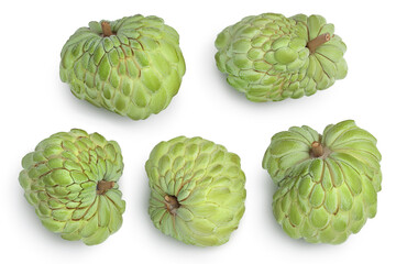 Fototapeta premium Sugar apple or custard apple isolated on white background with clipping path . Exotic annona or cherimoya fruit. Set or collection. Top view. Flat lay