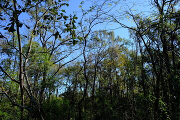 Pa Davis Park Louisiana 4