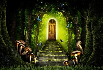 Gordijnen Fantasy world. Mushrooms at stone steps leading to magic door in enchanted forest © New Africa