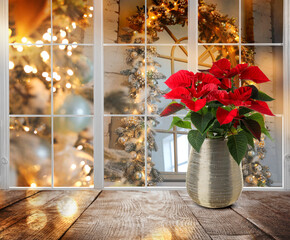Christmas traditional poinsettia flower on table near window, space for text