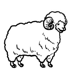 Simple sheep line art illustration