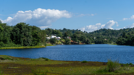 Las Curias, Puerto Rico