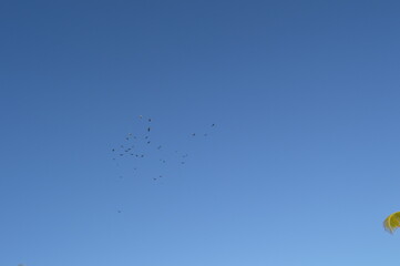 A cloudless winter day in Florida. 