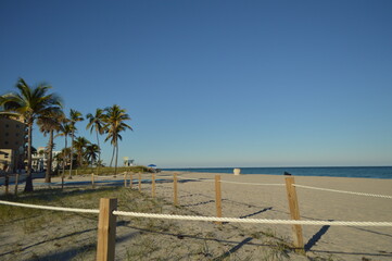 A cloudless winter day in Florida. 