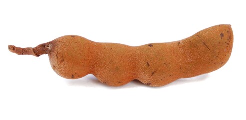 Tamarind (Tamarindus indica) on a white background