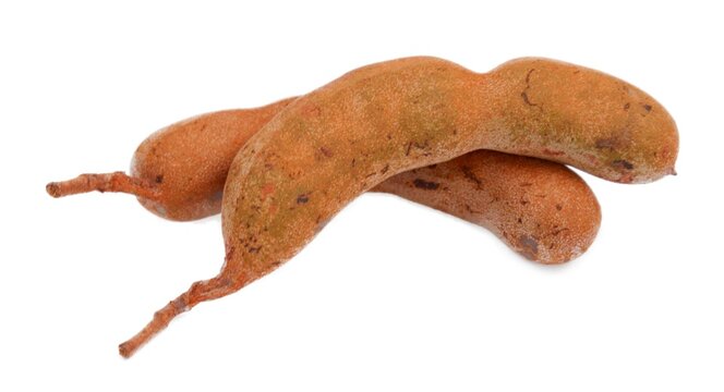 Tamarind (Tamarindus indica) on a white background