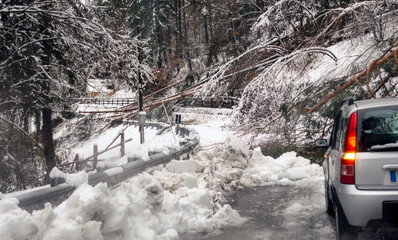 Trees broke under the weight of wet snow and blocked the road in winter time. Danger of sudden climate change on the Dolomites. Snow blockages the publici road afther a snowfall.
