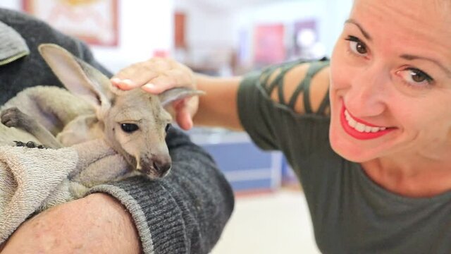 Woman touching an orphaned kangaroo joey of Australia. SLOW MOTION