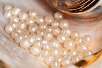 pearl beads lie in a seashell shell, close up photo