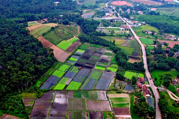 Vista aerea de plantações de horticultura. Sao Paulo